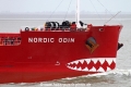 Nordic Odin-Bug SH-140515-02.jpg